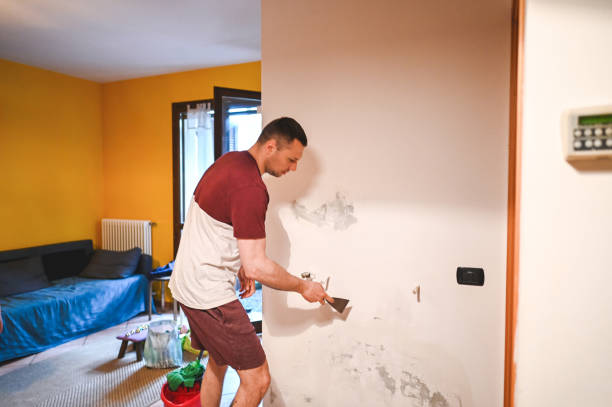 Best Bathroom Mold Remediation in Lansing, MI
